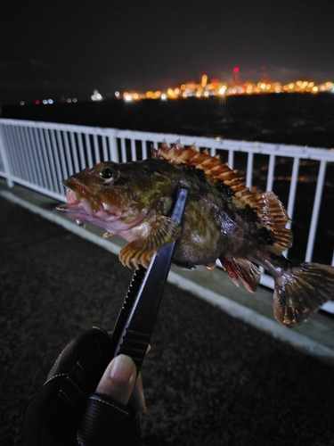 大黒ふ頭西緑地