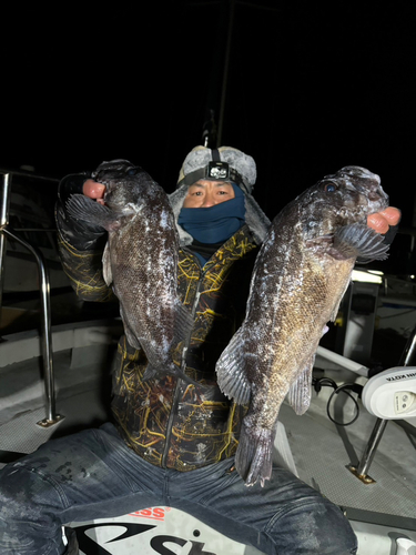 クロソイの釣果