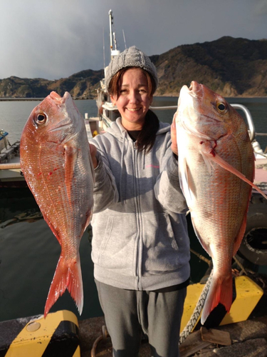 マダイの釣果