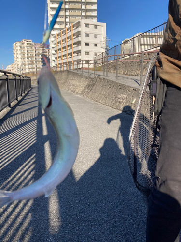 西原・与那原マリンパーク