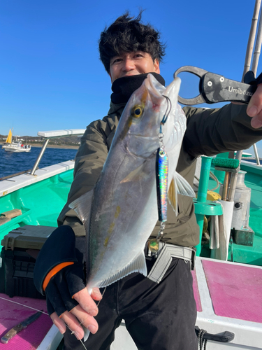 カンパチの釣果