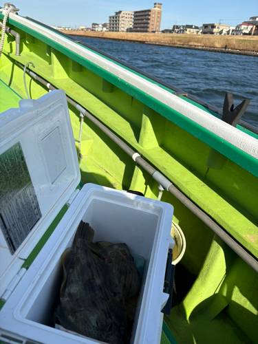 カワハギの釣果