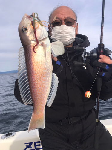 シロアマダイの釣果