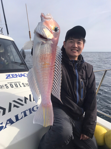 アマダイの釣果