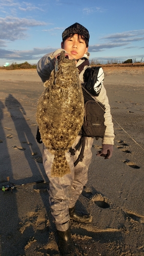 ヒラメの釣果