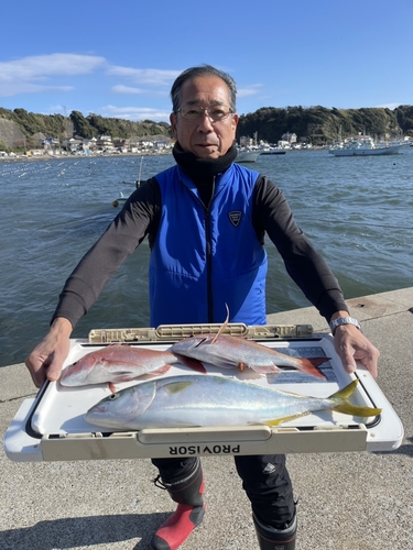 マダイの釣果