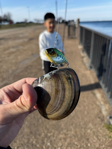 養老川臨海公園