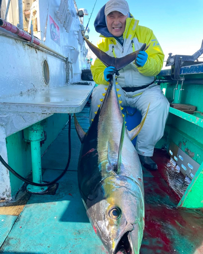 キハダマグロの釣果