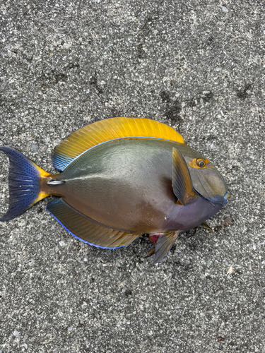 沖縄本島北部