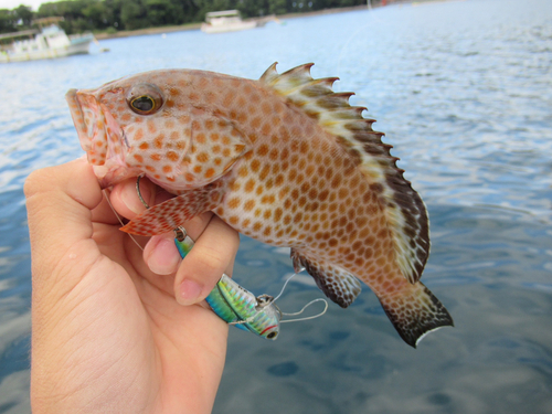 戸田湾