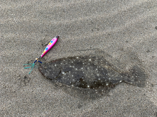 ソゲの釣果