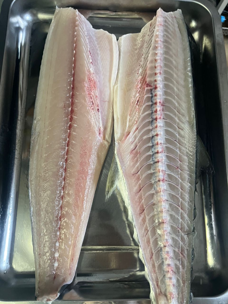 アングラー47377093さんの釣果 3枚目の画像