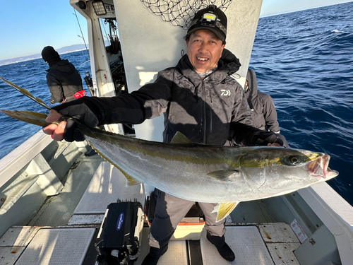 ブリの釣果