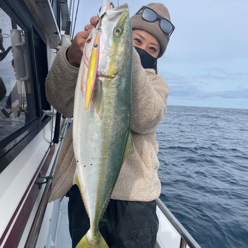 ハマチの釣果