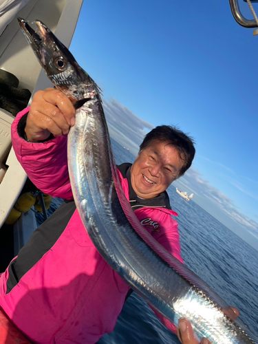 タチウオの釣果