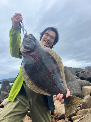 ヒラメの釣果