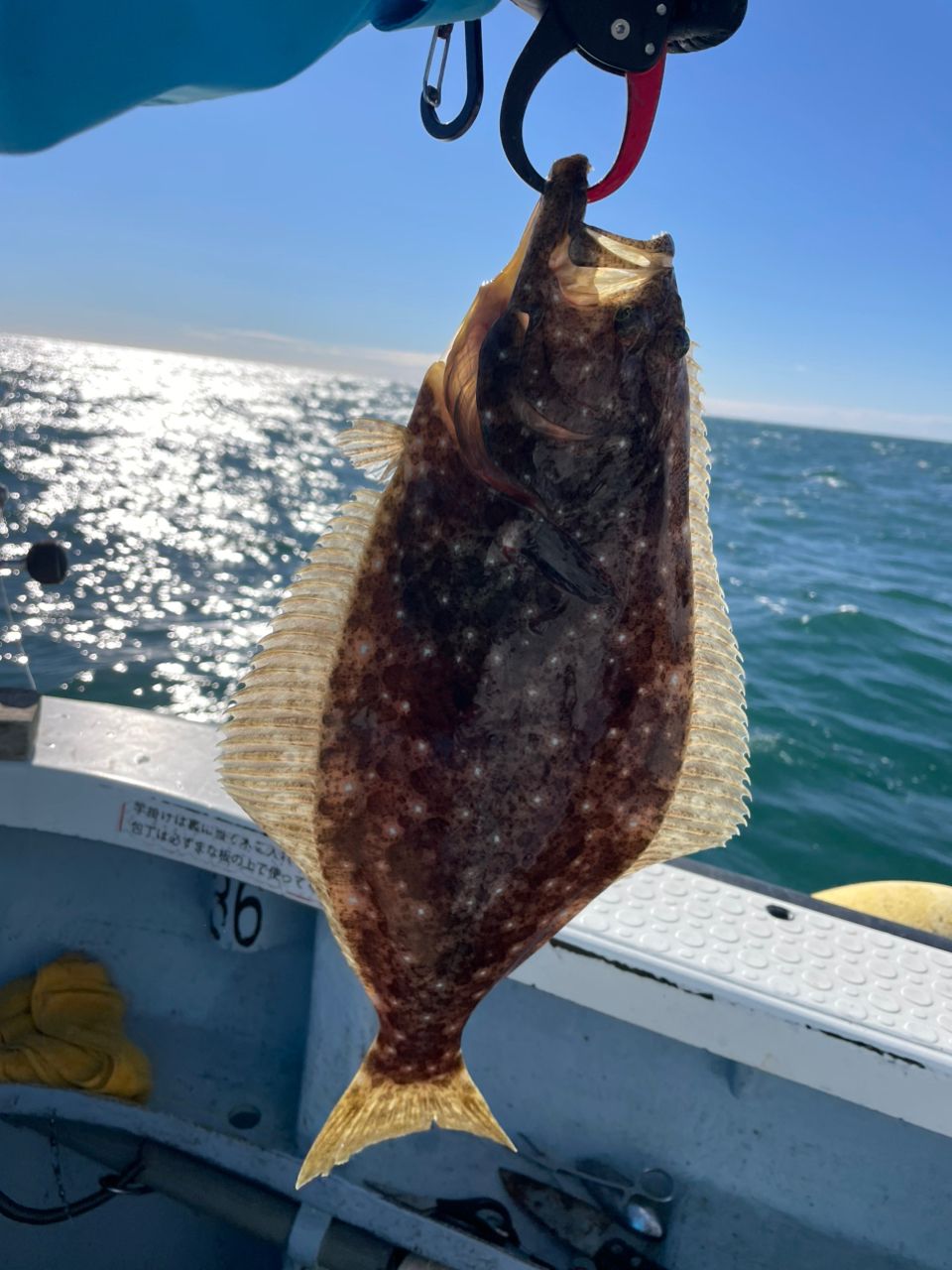 イニシャルTさんの釣果 2枚目の画像