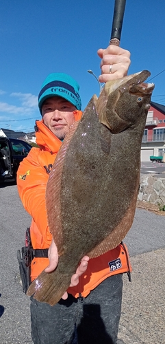 ヒラメの釣果