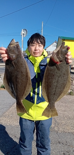 ヒラメの釣果