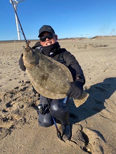 ヒラメの釣果