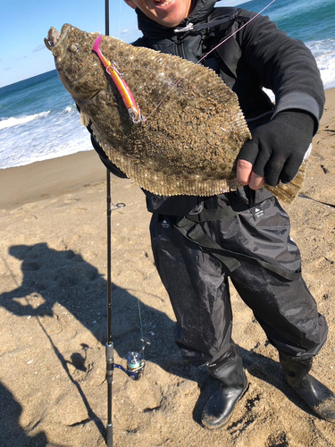 ヒラメの釣果