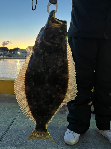 小名浜港市場前