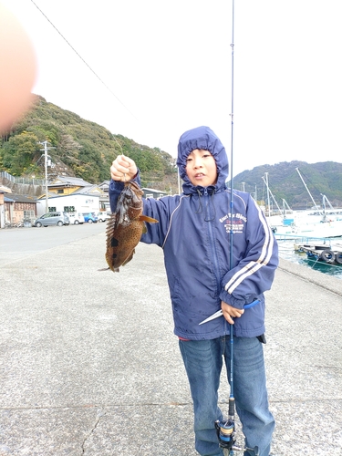 オオモンハタの釣果