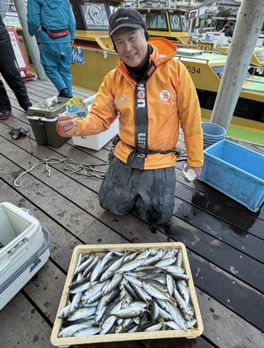 マアジの釣果