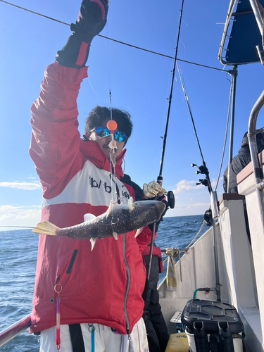 ショウサイフグの釣果