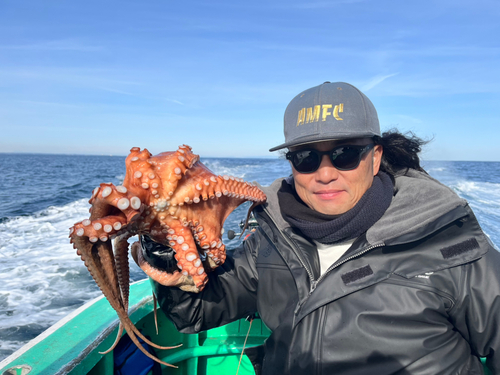 マダコの釣果