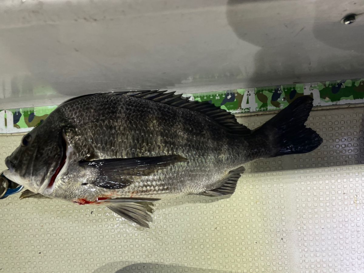 還暦夫婦でバス釣りさんの釣果 2枚目の画像