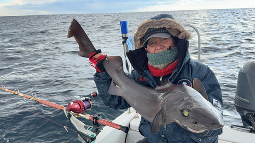 タロウザメの釣果