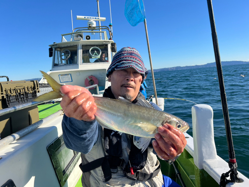 マアジの釣果