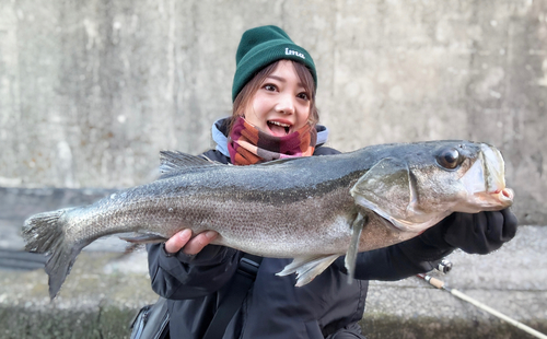 東京湾（アクアライン〜富津）