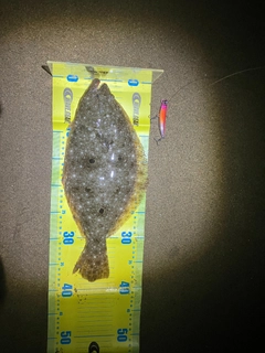 ソゲの釣果