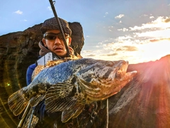 ベッコウゾイの釣果