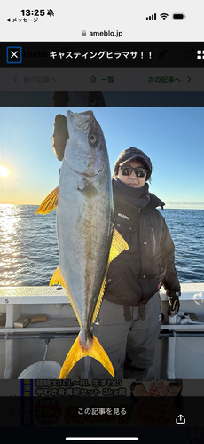 ヒラマサの釣果