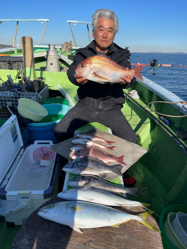 マダイの釣果