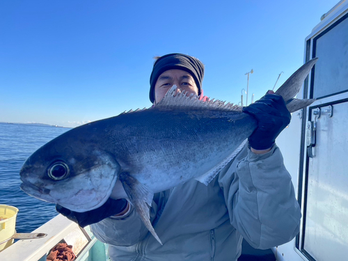 メダイの釣果