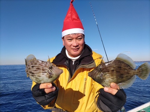 カワハギの釣果