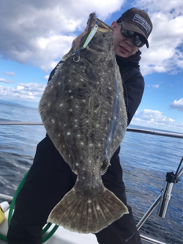 ヒラメの釣果