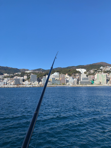 熱海港海釣り施設