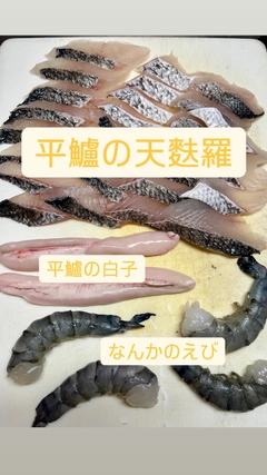 セイゴ（ヒラスズキ）の釣果