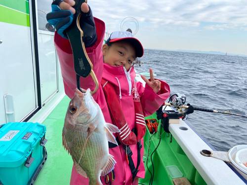 マダイの釣果