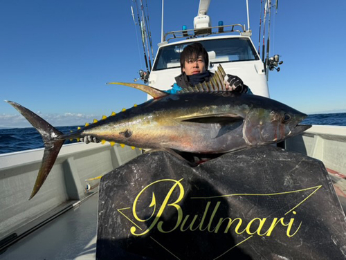 キハダマグロの釣果