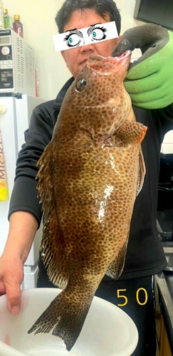 オオモンハタの釣果