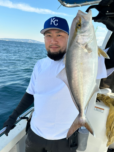 カワハギの釣果