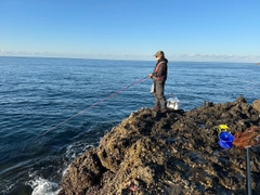 グレの釣果