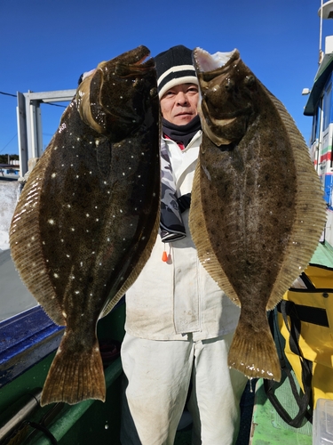 ヒラメの釣果