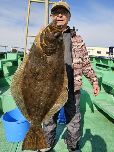 ヒラメの釣果